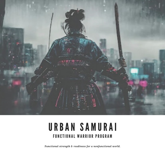 Sample of Urban Samurai: Functional Warrior Program
