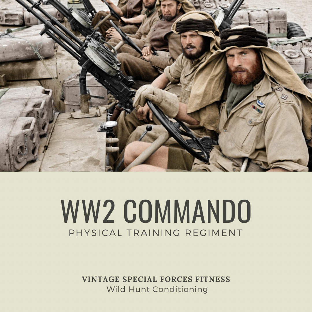 Free Training Programs from Wild Hunt Conditioning